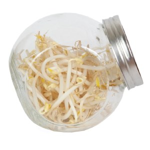 pohar mungo 2 085384